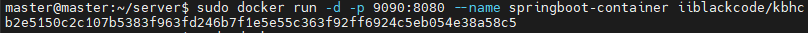 docekr run